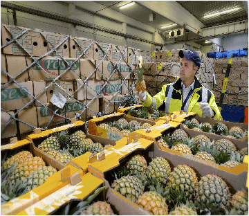 Perishables Goods
